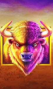 Buffalo King